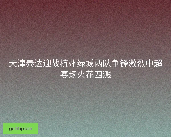 天津泰达迎战杭州绿城两队争锋激烈中超赛场火花四溅