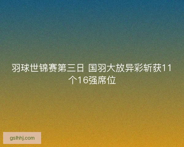 羽球世锦赛第三日 国羽大放异彩斩获11个16强席位