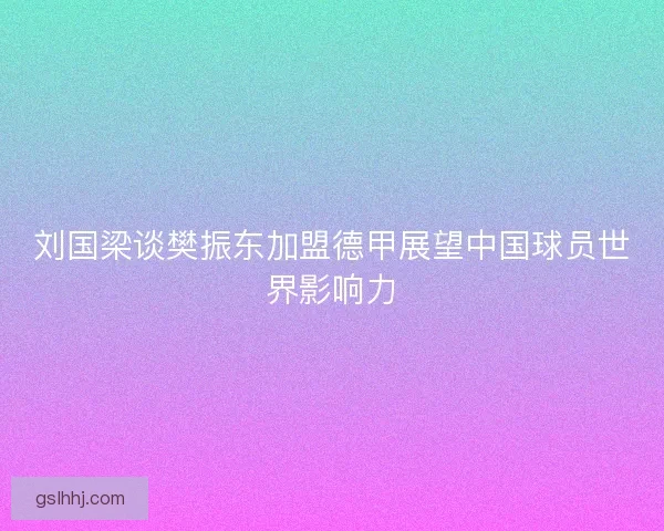 刘国梁谈樊振东加盟德甲展望中国球员世界影响力